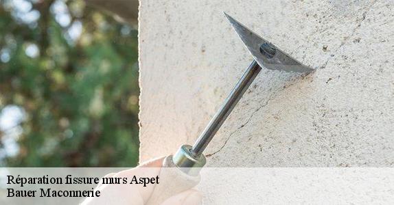 Réparation fissure murs  aspet-31160 Bauer Maconnerie