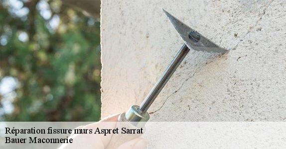 Réparation fissure murs  aspret-sarrat-31800 Bauer Maconnerie