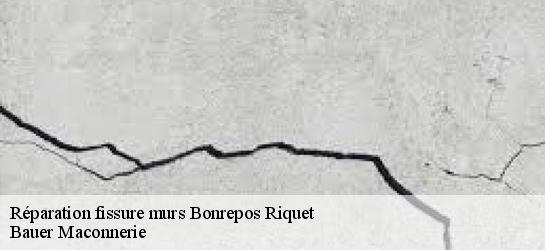 Réparation fissure murs  31590