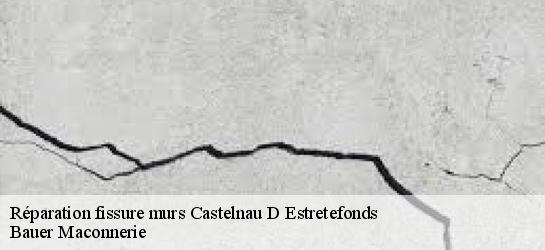 Réparation fissure murs  31620