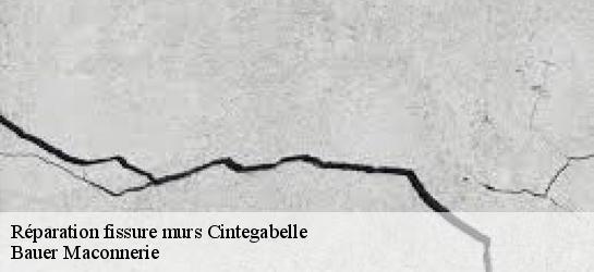 Réparation fissure murs  31550