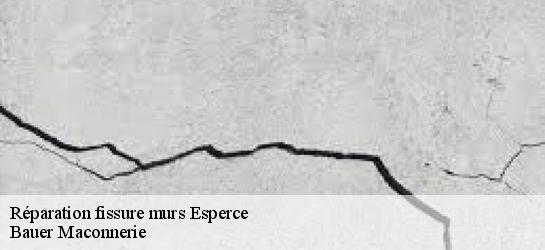 Réparation fissure murs 31190