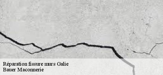 Réparation fissure murs 31510