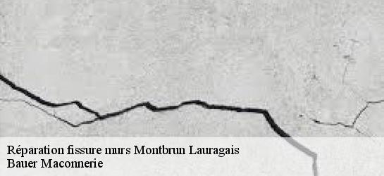 Réparation fissure murs  31450