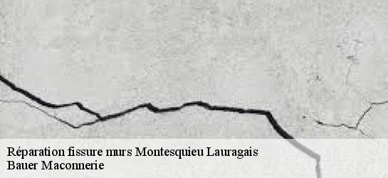 Réparation fissure murs 31450