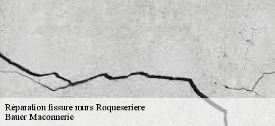 Réparation fissure murs  31380