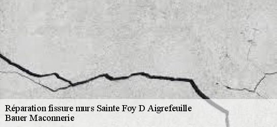 Réparation fissure murs  31570