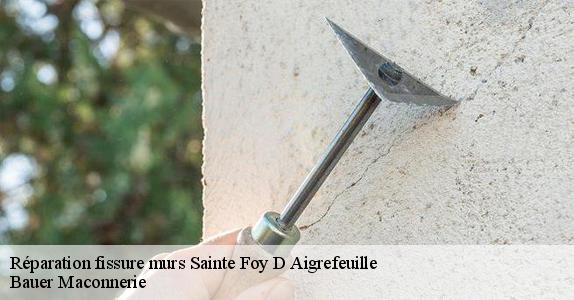 Réparation fissure murs  sainte-foy-d-aigrefeuille-31570 Bauer Maconnerie