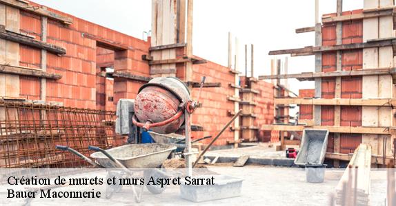 Création de murets et murs  aspret-sarrat-31800 Bauer Maconnerie
