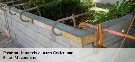 Création de murets et murs  31150