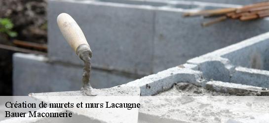 Création de murets et murs 31390