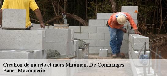 Création de murets et murs  31800