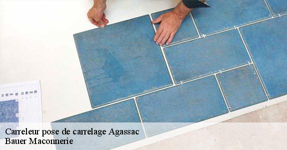 Carreleur pose de carrelage  agassac-31230 Bauer Maconnerie