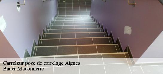 Carreleur pose de carrelage  31550