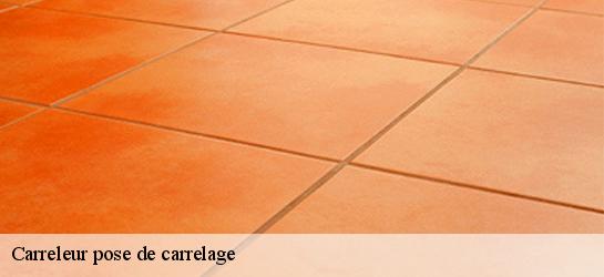 Carreleur pose de carrelage  31550