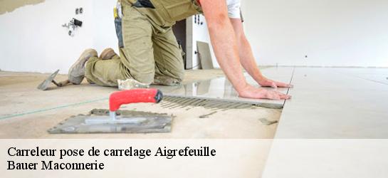 Carreleur pose de carrelage  31280