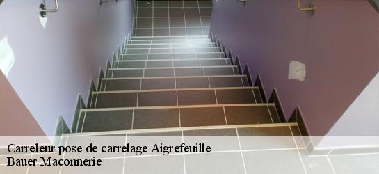 Carreleur pose de carrelage  31280