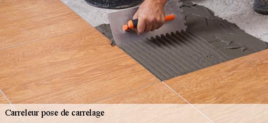 Carreleur pose de carrelage  31450