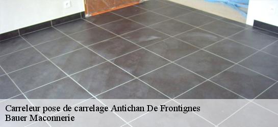 Carreleur pose de carrelage  31510