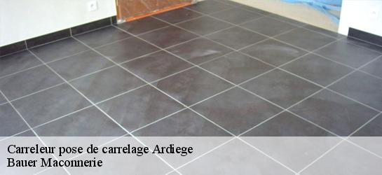 Carreleur pose de carrelage  31210