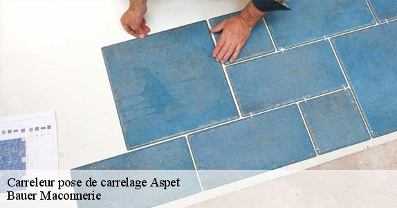 Carreleur pose de carrelage  aspet-31160 Bauer Maconnerie