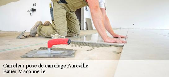 Carreleur pose de carrelage  31320