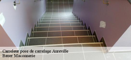 Carreleur pose de carrelage  31320