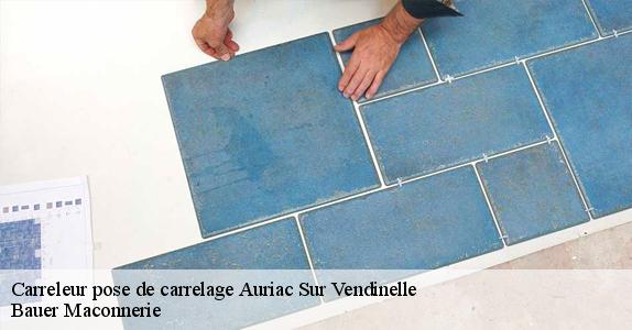 Carreleur pose de carrelage  auriac-sur-vendinelle-31460 Bauer Maconnerie