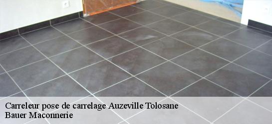 Carreleur pose de carrelage  31320