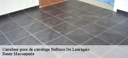 Carreleur pose de carrelage  31450