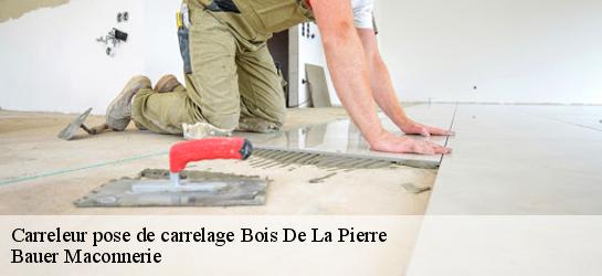 Carreleur pose de carrelage  31390