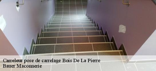 Carreleur pose de carrelage  31390