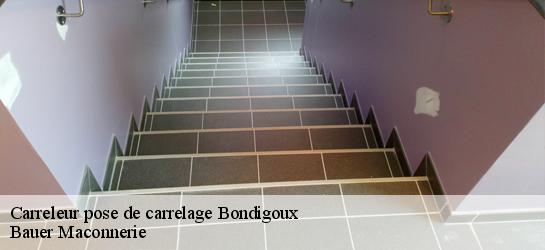 Carreleur pose de carrelage  31340