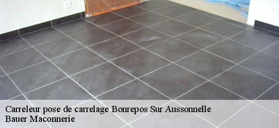 Carreleur pose de carrelage  31470