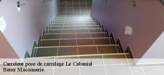 Carreleur pose de carrelage  31460