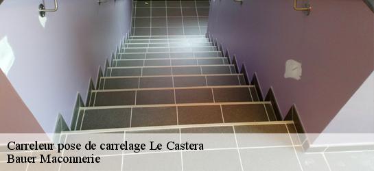 Carreleur pose de carrelage  31530