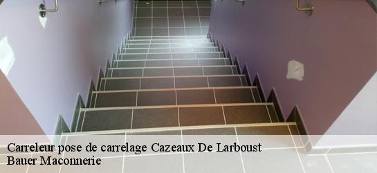 Carreleur pose de carrelage  31110