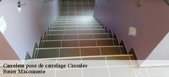 Carreleur pose de carrelage  31290