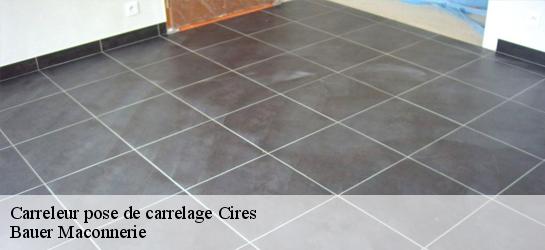 Carreleur pose de carrelage  31110