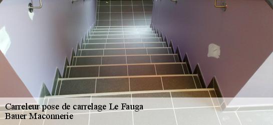 Carreleur pose de carrelage  31410