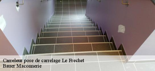 Carreleur pose de carrelage  31360